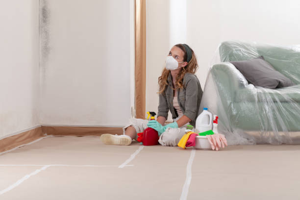 Reliable Mold Remediation contractor in Parker Ford, PA by WQB Mold Removal